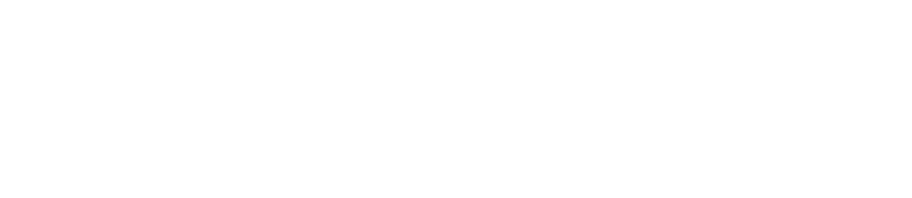 Stedman Logo white